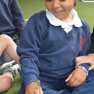 Nature’s Magic Comes to Life in the Nursery!